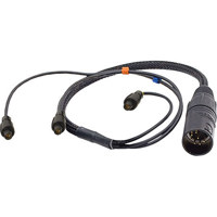 Ambient Recording 12" 2x 3-pin Lemo Triax to 7-pin XLR Male Double MS Adapter