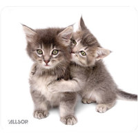Allsop Naturesmart Mouse Pad,  Picture