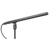 Audio-Technica BP4071 Line + G Picture