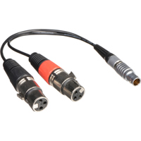 Atomos LEMO to Dual 3-Pin XLR  Picture