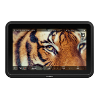 Atomos Shinobi 7 II 7" Full HD Picture