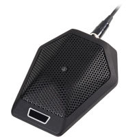 Audio-Technica U891RBO Omnidir Picture