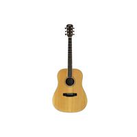 Austin AA25 Series Dreadnought Picture