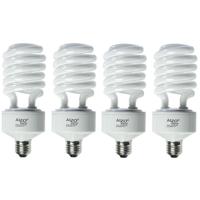 Alzo Digital 45W 220V CFL Vide Picture