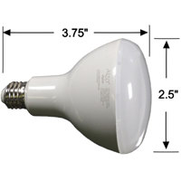 Alzo Digital 6W (60W) Joyous L Picture
