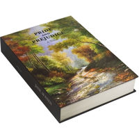 Barska Hidden Real Book Safe w Picture