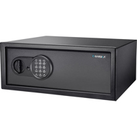 Barska 1.2 Cubic Foot Keypad S Picture