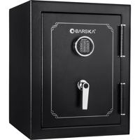 Barska 2.6 Cubic Foot Fireproo Picture