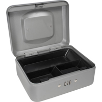 Barska 8" Small Cash Box with  Picture