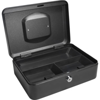 Barska 10" Cash Box with Key L Picture