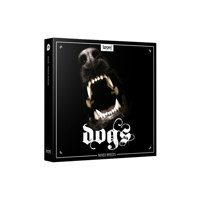 BOOM Library DOGS Sound Effect Picture