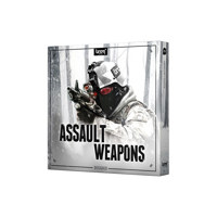 BOOM Library ASSAULT WEAPONS D Picture