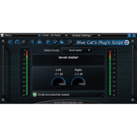 Blue Cat Audio Plug'n Script A Picture
