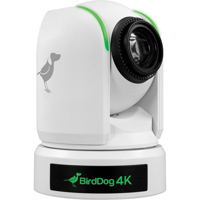 BirdDog P4K 4K UltraHD Full ND Picture