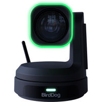 BirdDog X1 Ultra 4K Ultra HD N Picture