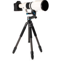 Benro Induro Classic 3 Series 3-Section Carbon Fiber Tripod
