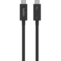 Belkin Connect 6.6' 100W 40Gbp Picture
