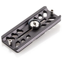 Benro PL100N Arca-Swiss Type Q Picture