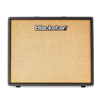 Blackstar Debut 100RH 5W Ampli Picture