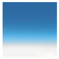 Flotone 43x67" Graduated Vinyl Picture