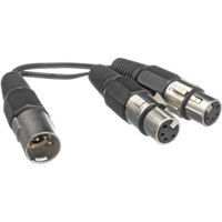 Bescor 4-pin XLR Male to Dual  Picture