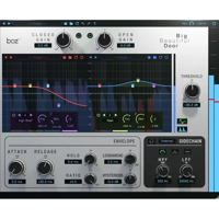 Boz Digital Labs Big Beautiful Picture