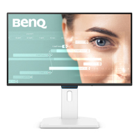 BenQ GW2490TC 23.8" 16:9 Full  Picture
