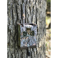 Browning Security Box for Defe Picture