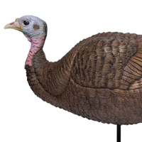 Bushnell Lil Gobbstopper Hen T Picture