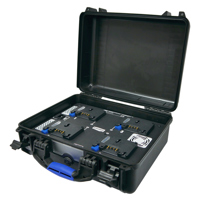 BlueShape CGR4 4-Channel Simul Picture