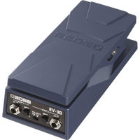 Boss Dual Expression Pedal Picture
