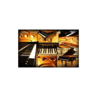 Best Service Galaxy II Vienna  Picture