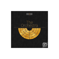 Best Service The Orchestra Vir Picture
