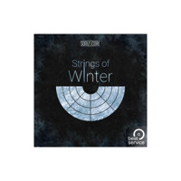 Best Service Strings of Winter Picture