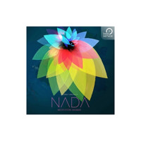 Best Service NADA Virtual Inst Picture