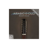 Best Service Arabic E-Oud Cros Picture