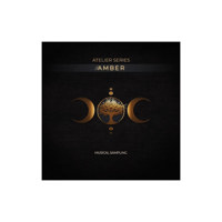 Best Service Atelier Series Am Picture