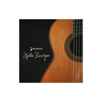 Best Service Nylon Rustique Vi Picture