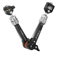 Bright Tangerine Titan Arm 2 T Picture