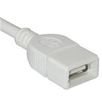 C2G 1m (3.28') USB 2.0 A Male  Picture