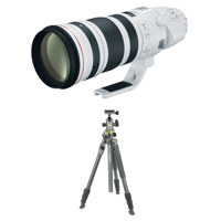 Canon EF 200-400mm f/4L IS USM Picture