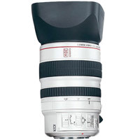Canon 20x Image Stabilized XL  Picture
