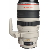 Canon EF 28-300mm f/3.5-5.6L I Picture