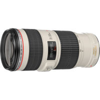 Canon EF 70-200mm f/4L IS USM  Picture