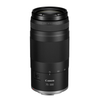 Canon RF 75-300mm f/4-5.6 Lens Picture