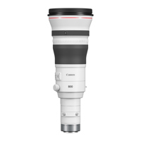Canon RF 800mm f/5.6 L IS USM  Picture