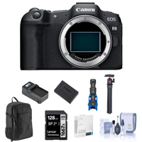 Canon EOS R8 Mirrorless Camera Picture