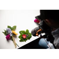 Calibrite ColorChecker Classic Nano Target