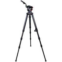 Cartoni Focus 10 Stabilo Carbo Picture