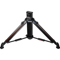 Cartoni Lifto 25/S Motorized E Picture